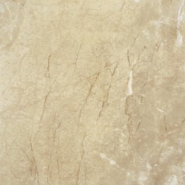 Gạch lát sàn Trường Thịnh GENESIS SERIES BR88602LEV-R